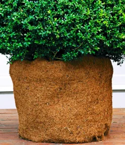 Kokos Beschermingsmat