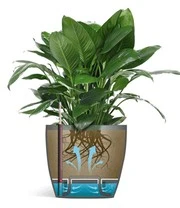 Emsa® Casa Brilliant Bloempot ø 35 Cm 'zijdegrijs' - Afbeelding 3