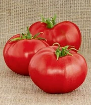 Tomaten Collectie 'La Sélection Du Chef®' - Afbeelding 3